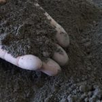 Topsoil in Cheshire